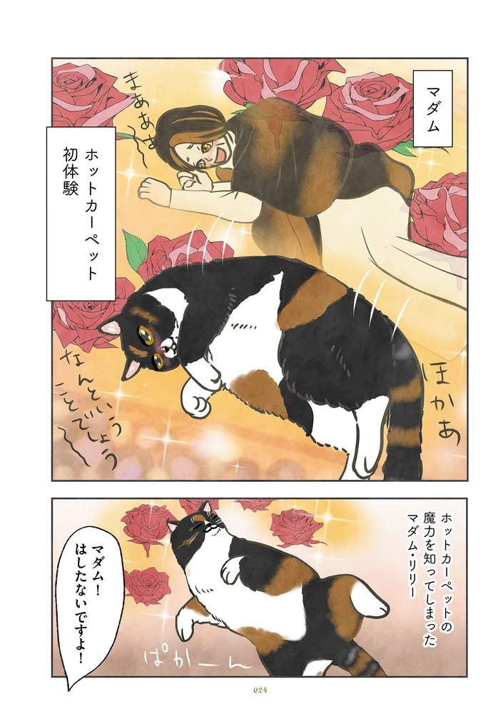 ポーランドからやってきた マダム猫の古民家暮らし」かんさび