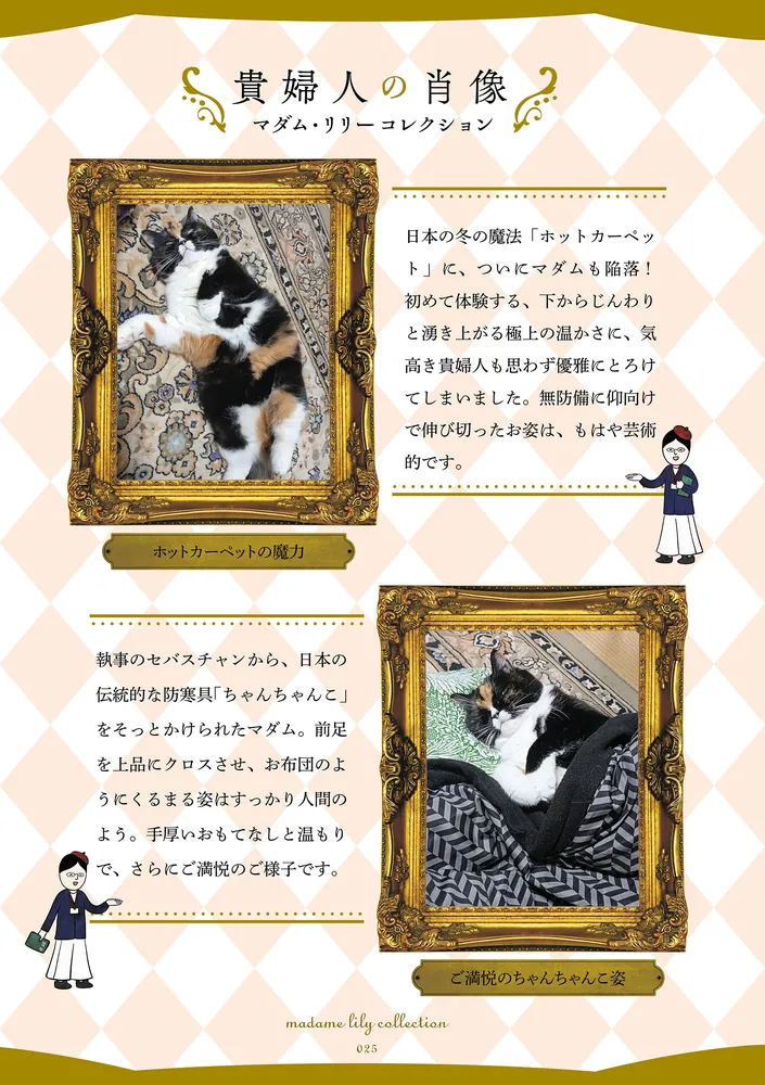 ポーランドからやってきた マダム猫の古民家暮らし」かんさび