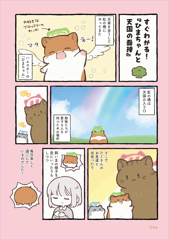ひまちゃんと天国の面接 2」しらほし卯乃 [コミックエッセイ] - KADOKAWA