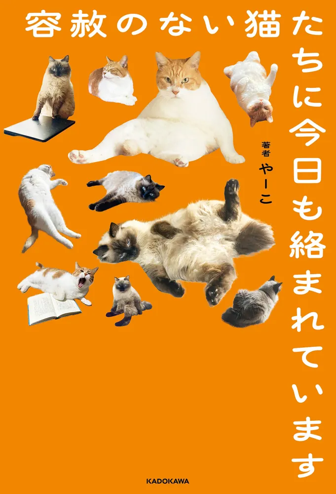 容赦のない猫たちに今日も絡まれています」やーこ [文芸書] - KADOKAWA