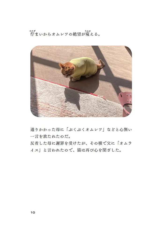 容赦のない猫たちに今日も絡まれています」やーこ [文芸書] - KADOKAWA
