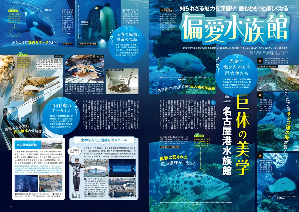 東海ウォーカー2026夏 カドカワプラス」 [雑誌] - KADOKAWA