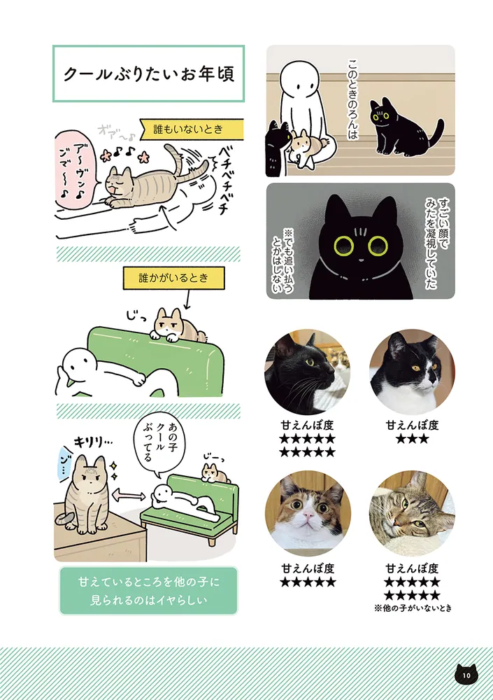 黒猫ろんと暮らしたら8」AKR [コミックエッセイ] - KADOKAWA