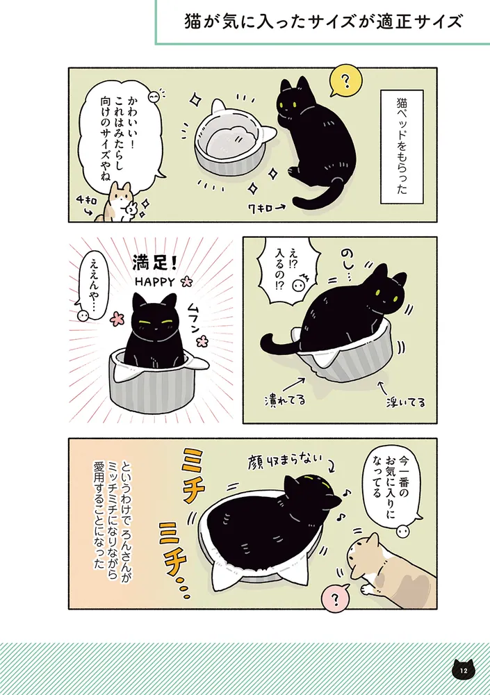 黒猫ろんと暮らしたら8」AKR [コミックエッセイ] - KADOKAWA