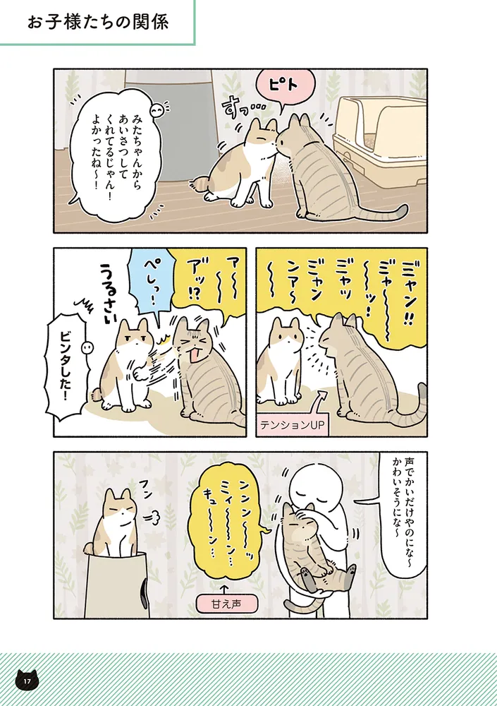 黒猫ろんと暮らしたら8」AKR [コミックエッセイ] - KADOKAWA