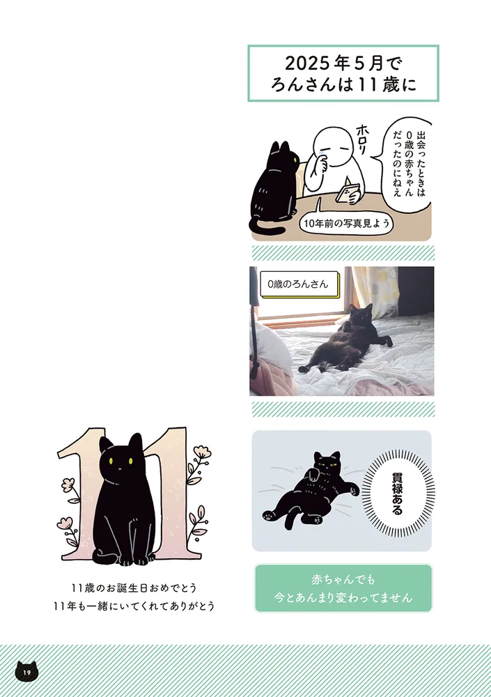 黒猫ろんと暮らしたら8」AKR [コミックエッセイ] - KADOKAWA