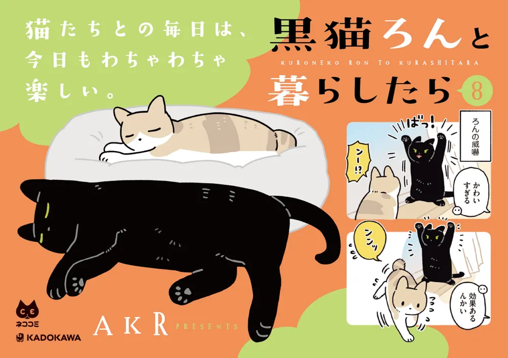 黒猫ろんと暮らしたら8」AKR [コミックエッセイ] - KADOKAWA