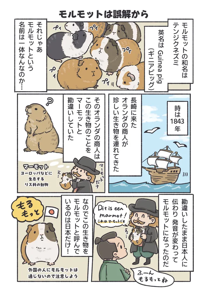 飼育員が教える！ 動物園が100倍楽しくなるどうぶつ図鑑」すう