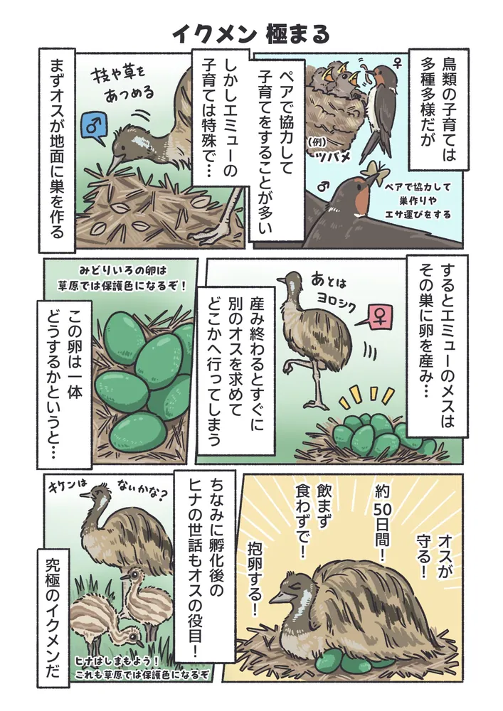 飼育員が教える！ 動物園が100倍楽しくなるどうぶつ図鑑」すう