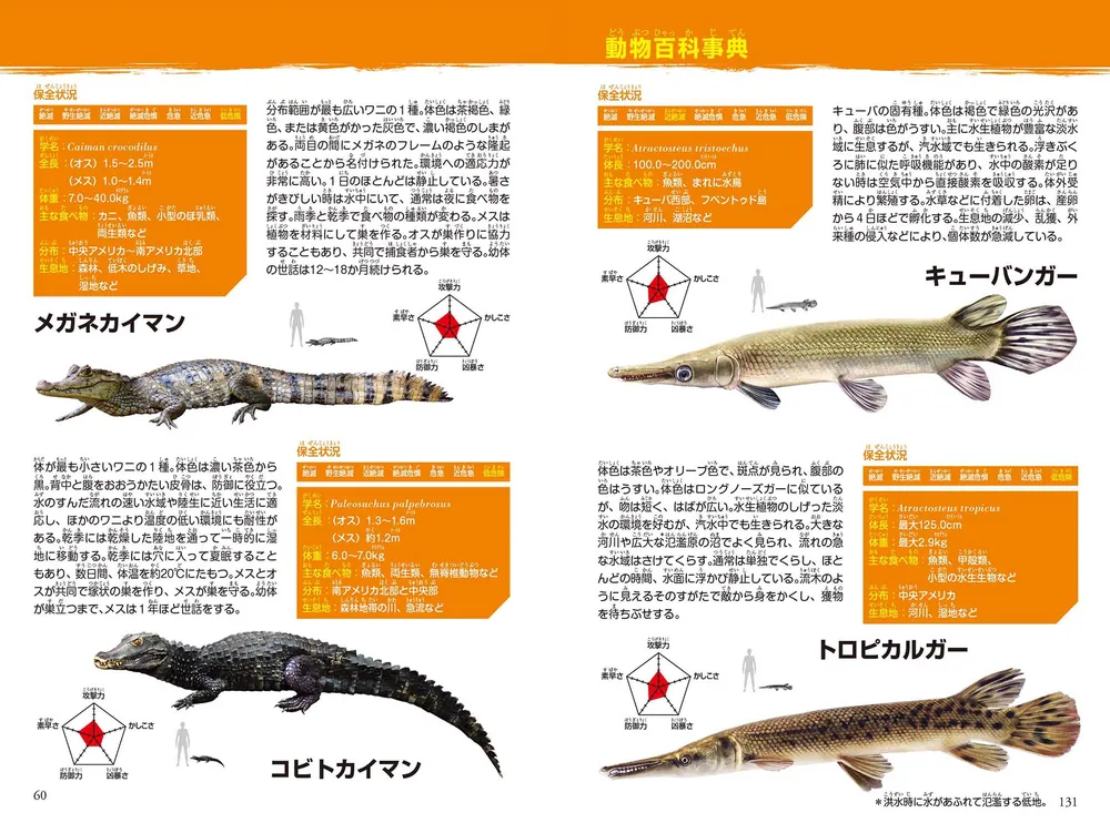 どっちが強い!? 水辺の怪物バトル 乱入！古代ワニパニック」白輪剛史