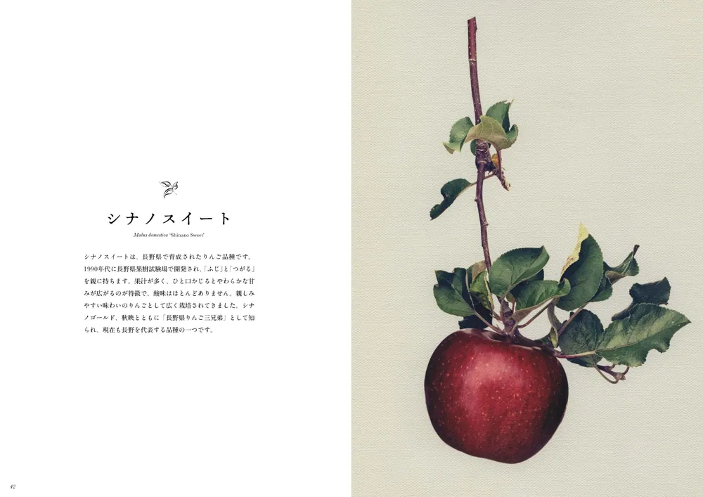 日本の美しき果実たち Fruits & Botanica」塩原真澄 [ノンフィクション