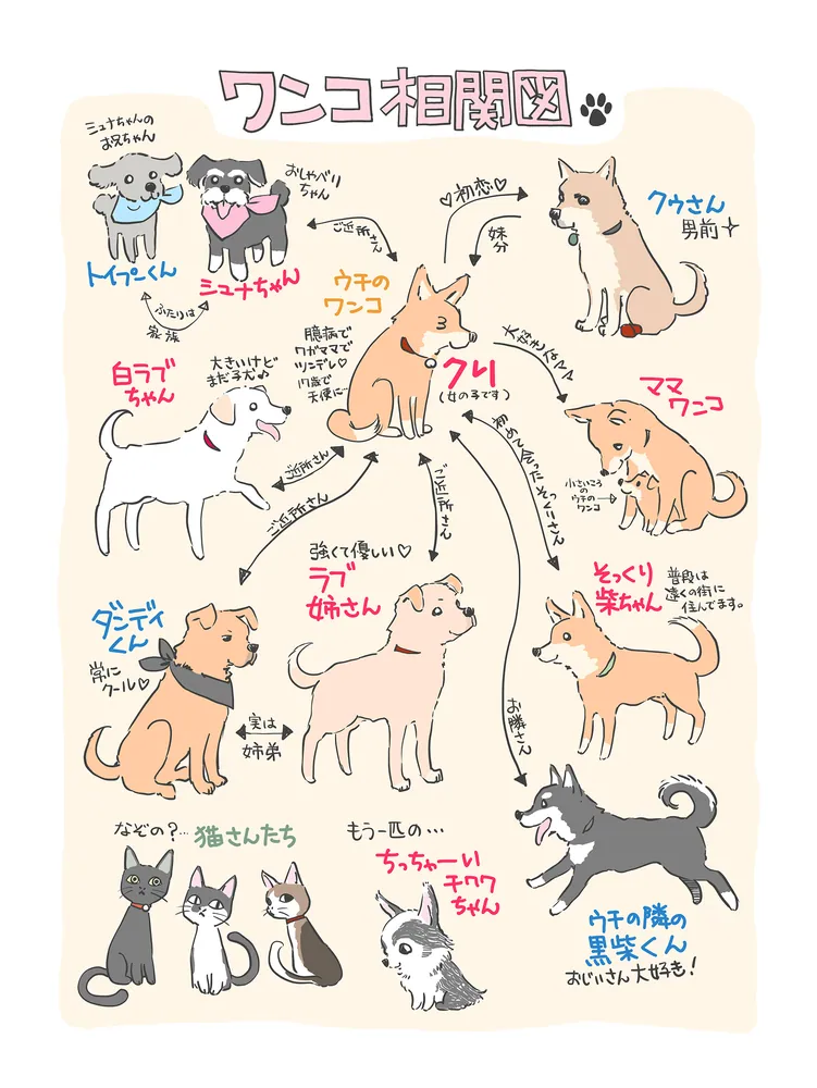 老いゆく愛犬と暮らしたかけがえのない日々 ワンコ17歳 2」サエタカ