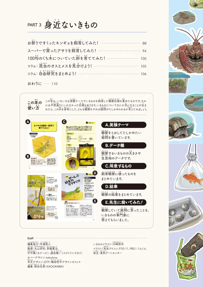 図鑑いきもの飼ってみた カマキリを黄色い世界で育てたらどうなる