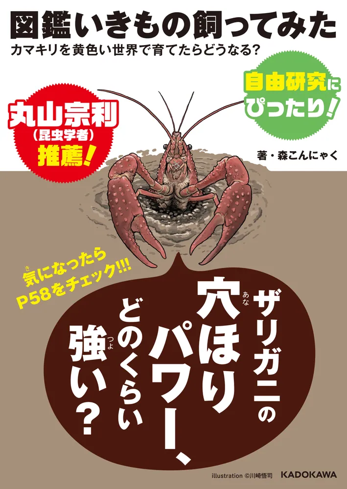 図鑑いきもの飼ってみた カマキリを黄色い世界で育てたらどうなる