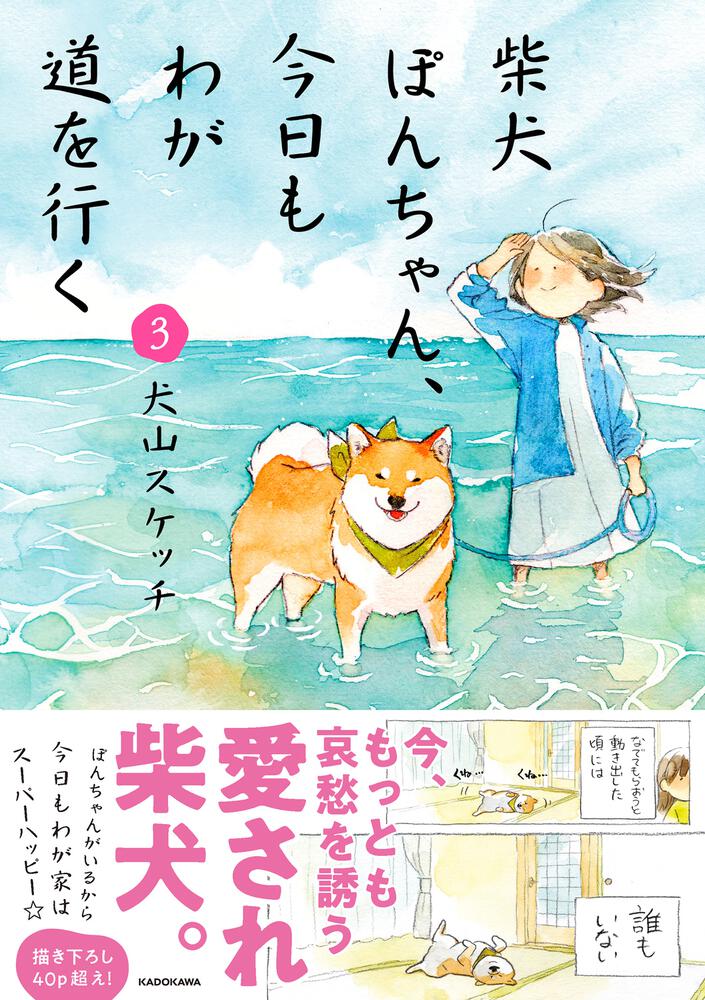 柴犬ぽんちゃん、今日もわが道を行く３