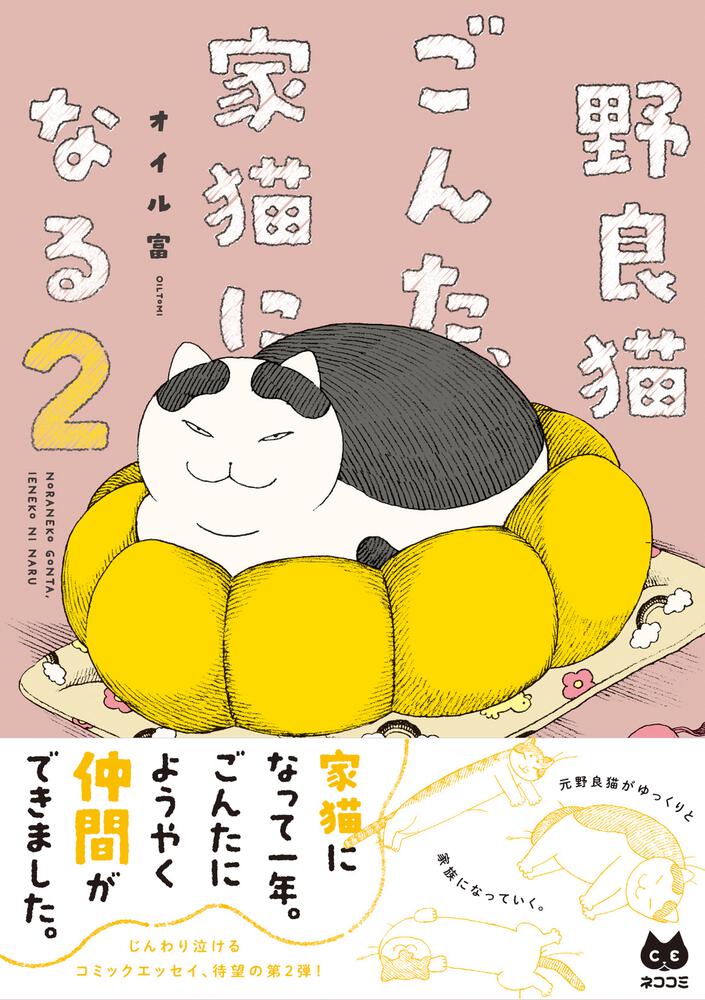 野良猫ごんた、家猫になる２