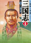 表紙：三国志　完結編　３ 三国の滅亡