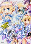 表紙：落ちてきた龍王と滅びゆく魔女の国　２