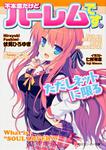 表紙：不本意だけどハーレムです。ただしネットに限る