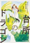 表紙：台所のドラゴン　３