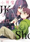 表紙：小悪魔系JKなので小学生を誘惑してます