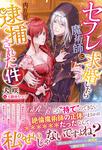 書影：セフレ魔術師に求婚したら内乱罪で逮捕された件