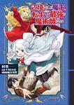 表紙：辺境ぐらしの魔王、転生して最強の魔術師になる　13