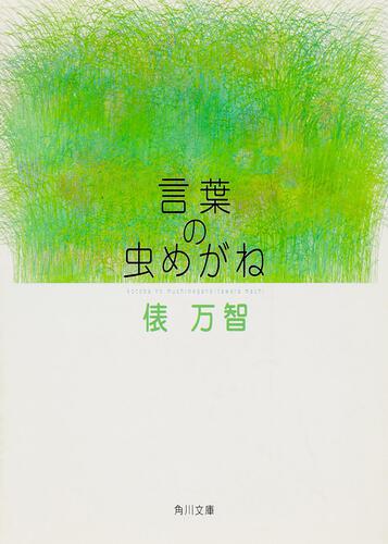 書影：言葉の虫めがね