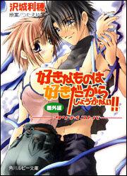 好きなものは好きだからしょうがない 番外編 タリナイコトバ 沢城 利穂 角川ルビー文庫 Kadokawa