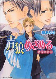 青狼めざめる 時光の隊士 表紙
