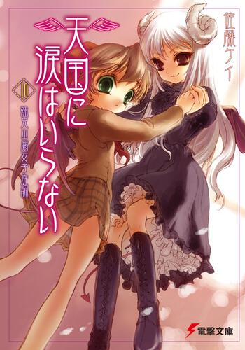 書影：天国に涙はいらない（１０）　妹兄山腐女子庭訓