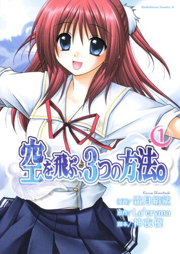 空を飛ぶ、３つの方法。　（１）