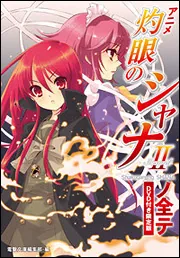 書影：DVD付き限定版 アニメ『灼眼のシャナＩＩ』ノ全テ