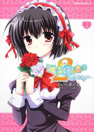 乙女はお姉さまに恋してる　２人のエルダー　（２）