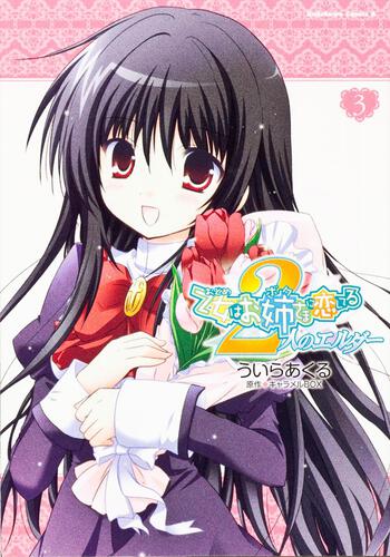 乙女はお姉さまに恋してる　２人のエルダー　（３）