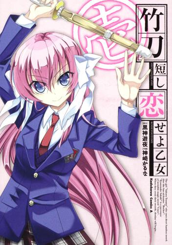 竹刀短し恋せよ乙女　（１）