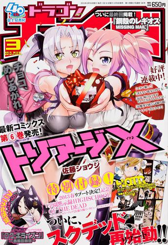 表紙：ドラゴンエイジ　２５年３月号