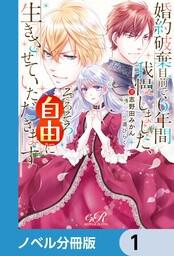 書影：婚約破棄目前で6年間我慢しました【ノベル分冊版】　1