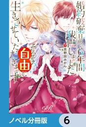 書影：婚約破棄目前で6年間我慢しました【ノベル分冊版】　6