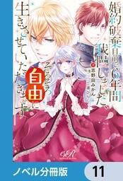 書影：婚約破棄目前で6年間我慢しました【ノベル分冊版】　11