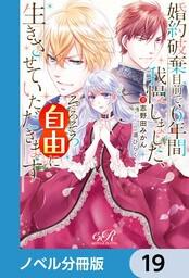 書影：婚約破棄目前で6年間我慢しました【ノベル分冊版】　19