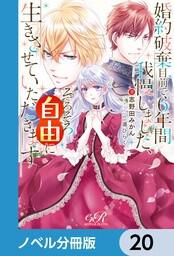 書影：婚約破棄目前で6年間我慢しました【ノベル分冊版】　20