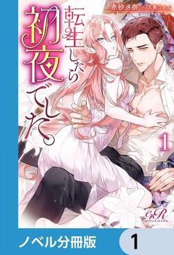 書影：転生したら初夜でした。【ノベル分冊版】　1