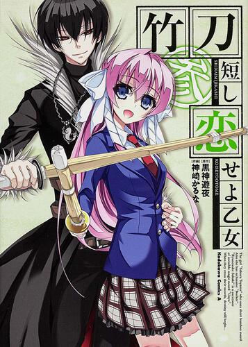 竹刀短し恋せよ乙女　（３）