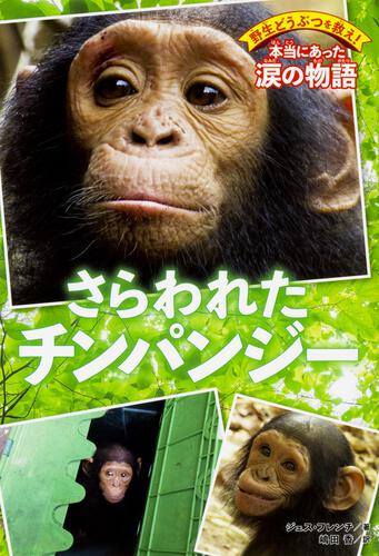 表紙：野生どうぶつを救え！　本当にあった涙の物語 さらわれたチンパンジー