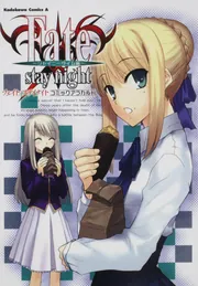 Fate/stay night コレクションポスター バインダー コンプティーク Fate/stay night コレクションポスター バインダー コンプティーク