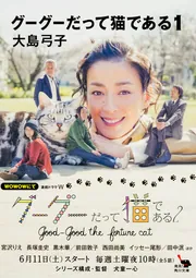 【中古】 グーグーだって猫である ６/ＫＡＤＯＫＡＷＡ/大島弓子 Amazon.co.jp: グーグーだって猫である6 : 大島 弓子, 大島
