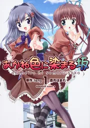 【非売品】あかね色に染まる坂 B2 サイズ ポスター あかね色に染まる坂 ぱられる : Game Soft (Playstation 2