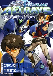Amazon.co.jp: 機動戦士ガンダムSEED DESTINY ASTRAY B (下