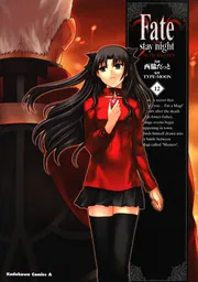 Fate／stay night （12）」西脇だっと [角川コミックス